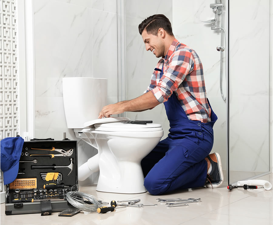What Should You Do If Your Toilet Overflows Sunshine Plumbers of Tampa