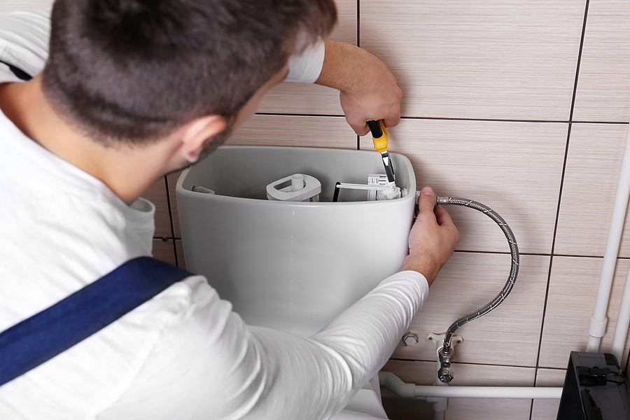 How to Fix a Broken Toilet Handle Sunshine Plumbers of Tampa